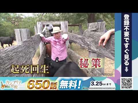 【650話無料開放記念】カンブリア宮殿ループライブ