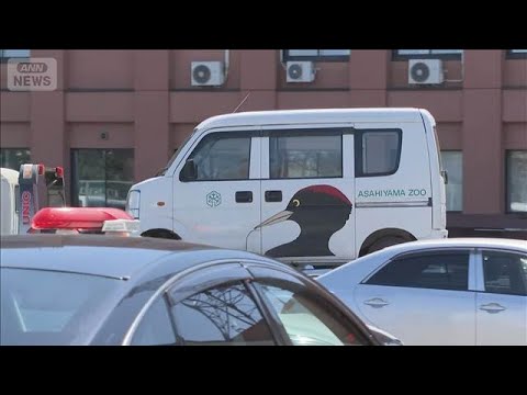 “旭山動物園”遺体遺棄か 車3台押収(2026年4月25日) サムネイル