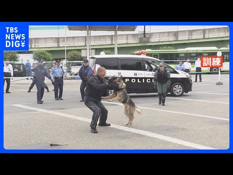 バス車内で刃物男が乗客襲った想定のテロ訓練 拳銃発砲後…警備犬が噛みつき確保 警視庁光が丘署|TBS NEWS DIG