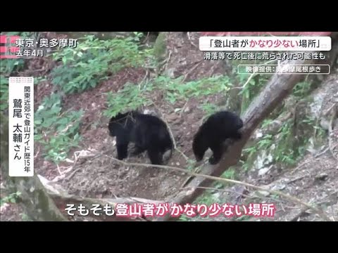 東京でもクマによる“人身被害”「登山者がかなり少ない場所」現地を映像から検証【サタデーステーション】(2026年5月2… サムネイル