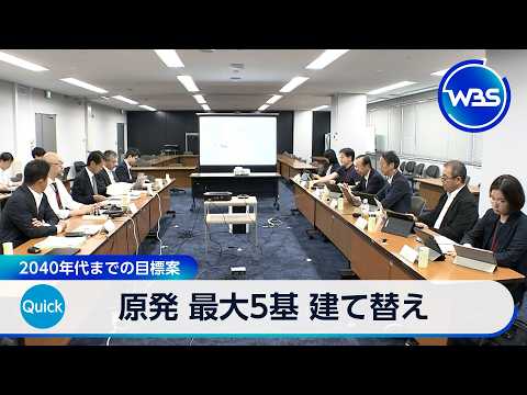 原発 最大5基 建て替え 2040年代までの目標案【WBS】
