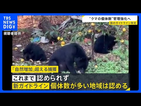 相次ぐクマ被害を受けクマの捕獲や管理に関する国のガイドラインを改定 「自然増加率」を超えるクマの捕獲が認められる｜TB…