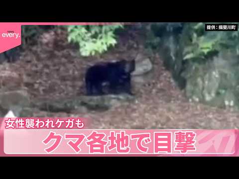 【クマ】各地で出没…女性襲われケガも  きのう捕獲の栃木･宇都宮…ほかにいる可能性は サムネイル