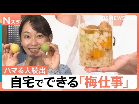 大変だけど…やったらハマる「梅仕事」の魅力とは？ 意外と簡単 自分流アレンジ【Nスタ】｜TBS NEWS DIG サムネイル