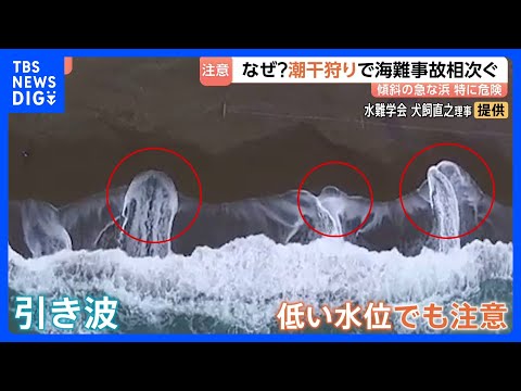 潮干狩り中の海難事故相次ぐ　低い水位でも足をとられてしまう危険性が　慣れている人ほど“大きいハマグリ求めて沖に出る傾向… サムネイル