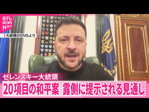 【ゼレンスキー大統領】「20項目の和平案」初公表 サムネイル