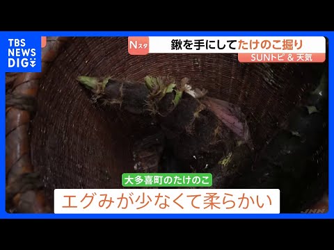 春の味覚　たけのこ料理を味わう　鍬を手にしてたけのこ掘り　山口農園　千葉・大多喜町【SUNトピ】｜TBS NEWS D…
