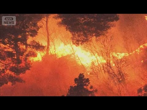 2日目…難航する消火活動　避難指示拡大　岩手・大槌町 山林火災の延焼拡大【報道ステーション】(2026年4月23日) サムネイル