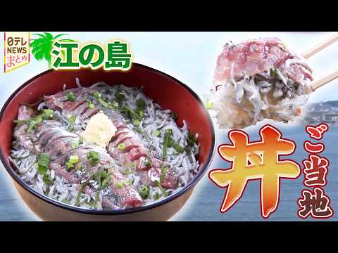 【藤沢市グルメ】江の島名物　生しらす丼/卸問屋おいしい焼肉　特大1枚!和牛ロース/豚肉にホレた男の自信作　バラ塩うどん サムネイル