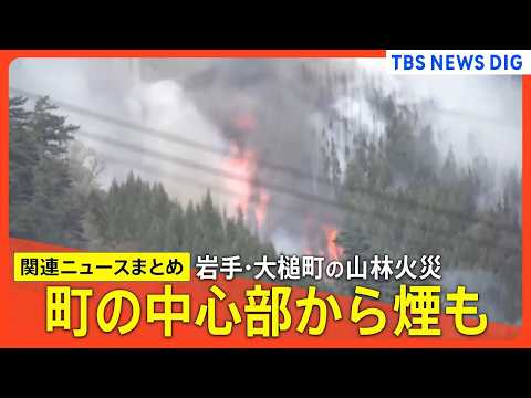 【山林火災 岩手･大槌町】山火事発生6日目/町の中心部から煙/心の支援も/避難指示エリア拡大/複数か所で火の手住宅に迫… サムネイル