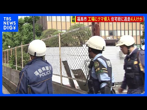 【速報】クマ 工場・住宅地で人襲い4人けが　福島　クマは市内の事務所にとどまっているとみられ警察・消防が現場規制｜TB… サムネイル