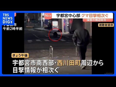 商店街を走り抜けるクマ…宇都宮市中心部で目撃情報相次ぐ「疑ったよ、自分の目を」 部活動の練習試合は全て中止に　現在もク… サムネイル