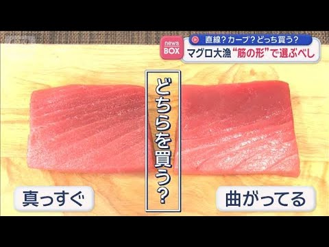 マグロ大漁　“筋の形”で選ぶべし 直線？カーブ？　【スーパーJチャンネル】(2026年6月5日) サムネイル