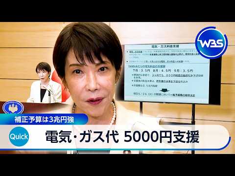 電気･ガス代 5000円支援 補正予算は3兆円強【WBS】 サムネイル