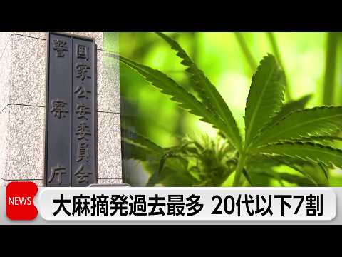 大麻摘発者数が過去最多6832人　20代以下が7割を占める