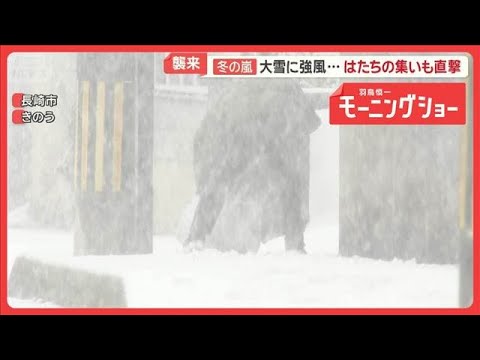 今季最強寒波が襲来　冬の嵐、観光客直撃　慣れない雪道でスタック続出　車が立ち往生【羽鳥慎一モーニングショー】(2026… サムネイル