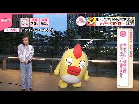 【ねぇねぇそらジロー】そらジローは、寝る時、目をつぶって寝ますか？ サムネイル