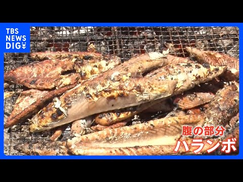 今が旬！初カツオが安い 「去年より200～300円くらい安く提供できている」 燃料高騰で打撃も…豊漁の高知では大行列！… サムネイル
