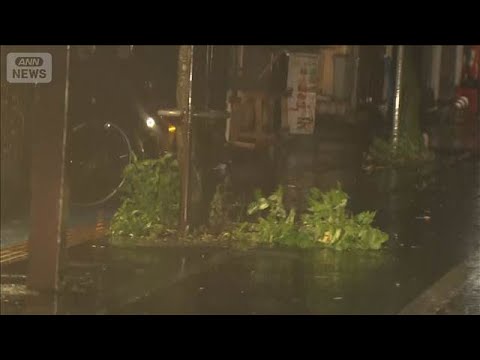 台風6号　奄美から西日本に接近　線状降水帯や暴風に警戒(2026年6月2日) サムネイル