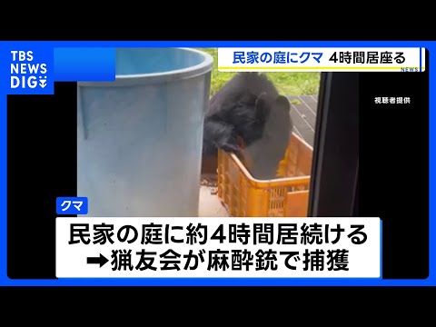 クマが民家の庭に4時間、猟友会が麻酔銃を使って捕獲　長野・安曇野市 ｜TBS NEWS DIG サムネイル