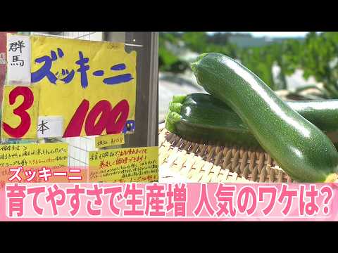 【ズッキーニ】“3本約100円”  調理も手軽  いまが旬…生産量増加  人気のワケは？  1日で1.5倍の大きさに サムネイル