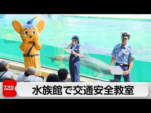 夏休み明け“交通事故増”に警視庁が警鐘!しながわ水族館のイルカショーで学ぶ子ども交通安全