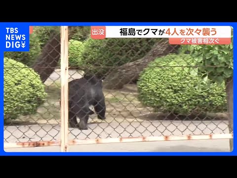 「クマに噛まれた」福島市の工場や住宅街に出没　4人けが　防犯カメラに従業員を襲い、走って追いかける様子　今も工場に居座… サムネイル