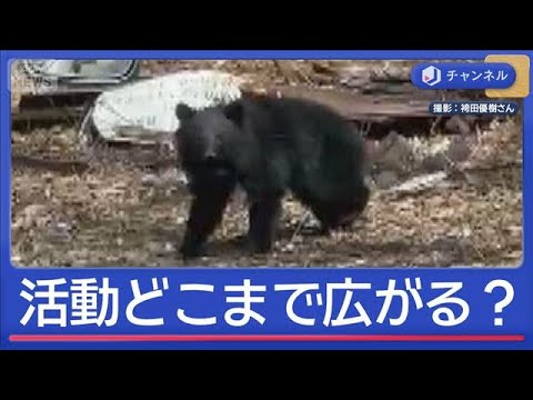 庭先、観光地…クマの行動範囲どこまで拡大？農家も恐々【スーパーJチャンネル】(2026年5月1日) サムネイル