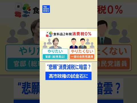 高市総理“悲願”の消費税の減税に自民党内から“ネガティブ”な意見続々･･･政権の今後占う試金石に｜TBS NEWS D…