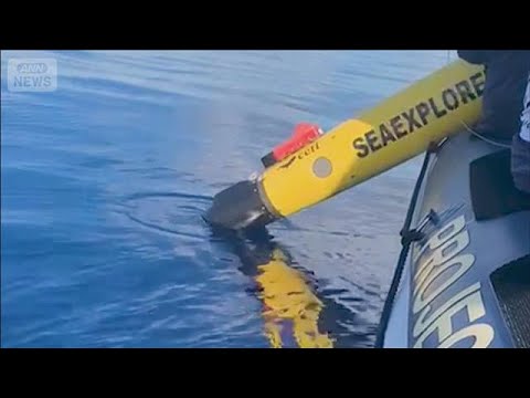 マッコウクジラの会話解読へ　長時間観察できる水中ロボットを開発【知っておきたい！】【グッド！モーニング】(2026年5… サムネイル