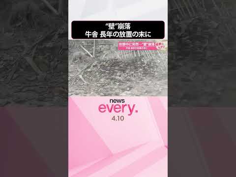 【中国】休憩中に突然・・・“壁”崩落  牛舎 長年の放置の末に『世界のミダシ』  shorts