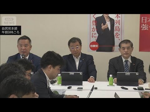 自民 国旗損壊罪骨子案まとめる　お子様ランチの旗などは対象外(2026年5月22日) サムネイル