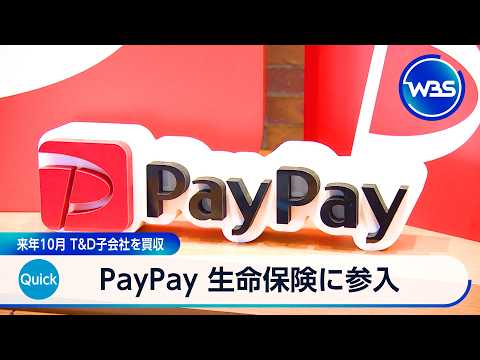 PayPay 生命保険に参入 2027年10月 T＆D子会社を買収【WBS】 サムネイル