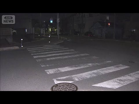 埼玉・朝霞市で高齢女性が死亡　ひき逃げの疑いで女を逮捕(2026年2月24日) サムネイル