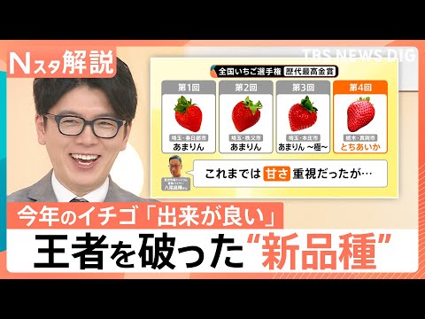 王者vs新品種「日本一おいしいイチゴ」は…　失敗しないおいしいイチゴの見分け方【Nスタ解説】｜TBS NEWS DIG サムネイル