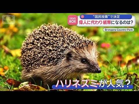 偉人に代わり紙幣になるのは？　“国民投票”で決定　イギリス【スーパーJチャンネル】(2026年6月4日)