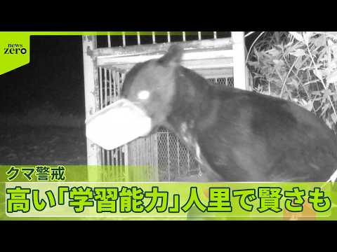 【窓のカギ開け逃走か…】近くに“足跡”小中学校は休校…長野・松本市  4人襲撃のクマはどこへ  福島市 サムネイル