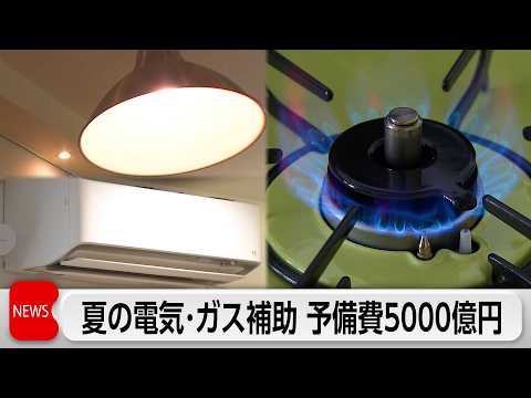 エネルギー高騰対策で夏の電気・ガス代補助　予備費5000億円支出決定 サムネイル