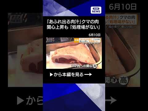 【ニュース】「あふれ出る肉汁」クマの肉　関心上昇も「処理場ない」季節で違う脂乗り　難しい扱い shorts サムネイル