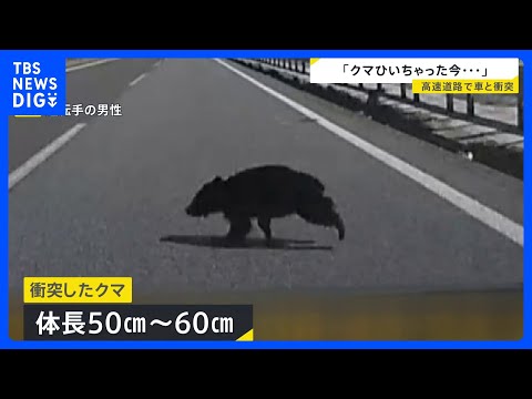 【ドラレコ映像】岩手・東北道を走行中の車にクマが衝突　中央分離帯から突然の飛び出し バンパーが割れ車体には毛が付着　2… サムネイル