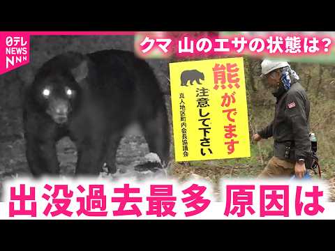 【クマ】相次ぐ目撃と被害 住宅地近くで冬眠か 出没の原因と今後への警戒　新潟　NNNセレクション サムネイル