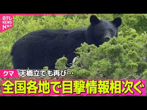 【クマ出没】「天橋立」で再び目撃情報　全国各地で目撃情報相次ぐ ──社会ニュースライブ（日テレNEWS LIVE） サムネイル