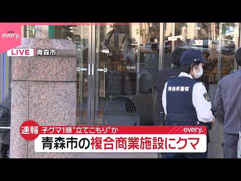 【現場の様子】子グマ1頭“立てこもり”か  青森市の商業施設にクマ サムネイル