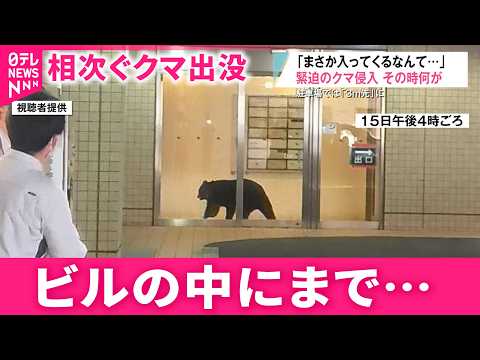 【クマ】市街地のビルにも侵入… 相次ぐ出没で学校やスーパーが対策 ニセの目撃情報も　青森　NNNセレクション サムネイル