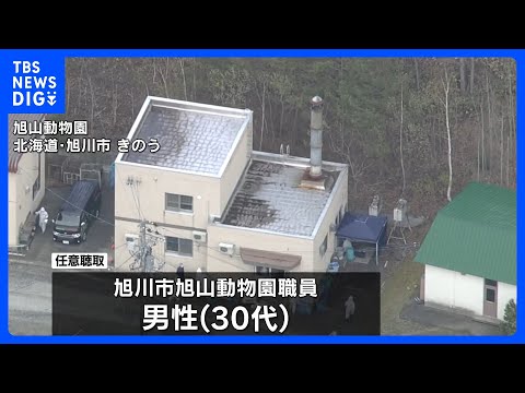 旭山動物園の焼却炉に妻の遺体遺棄疑いで事情聴取の30代男性　殺害ほのめかす供述｜TBS NEWS DIG サムネイル