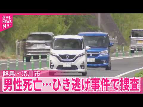 【近くには2頭のシカ】国道で倒れている男性見つかる…死亡を確認  ひき逃げか  群馬・渋川市 サムネイル