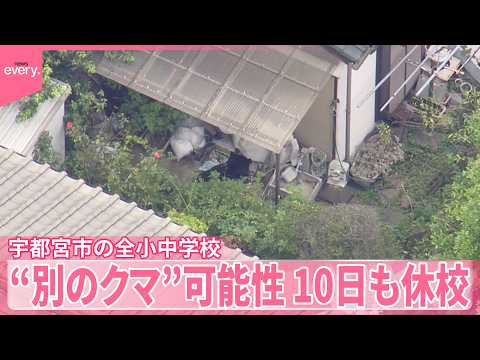 【クマ1頭捕獲】別個体がいる可能性  10日も市立の全小中学校で休校に  宇都宮市