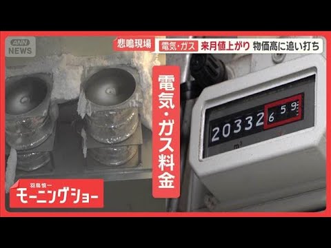 物価高に電気・ガス追い打ち　業者悲鳴「もう、なんでも上がる」“四重苦”の弁当店も【羽鳥慎一モーニングショー】(2026… サムネイル
