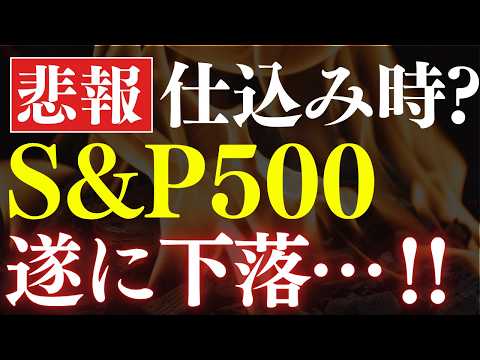 【S&P500が遂に下落】仕込み時？米国株で今、上昇してる銘柄はコレです！