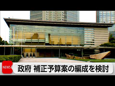 政府 補正予算案を検討　中東情勢の長期化懸念　夏の電気・ガス料金補助など想定 サムネイル